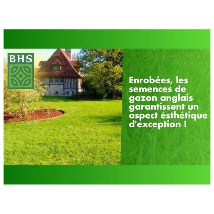 Gazon Anglais - BHS - 10kg pour Jardins Haut de Gamme Gazon Anglais - BHS - 10kg pour Jardins Haut de Gamme