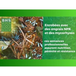 Gazon Anglais - BHS - 10kg pour Jardins Haut de Gamme