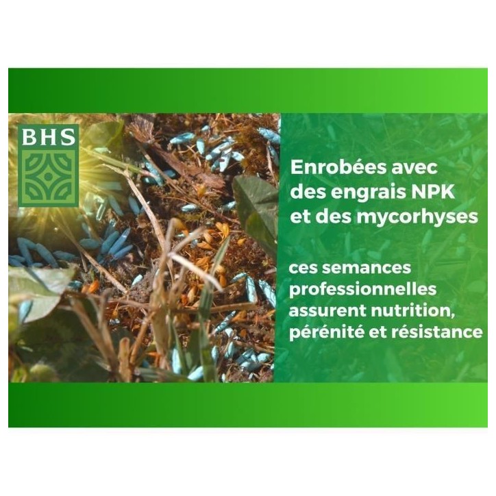 Gazon Anglais - BHS - 10kg pour Jardins Haut de Gamme Gazon Anglais - BHS - 10kg pour Jardins Haut de Gamme