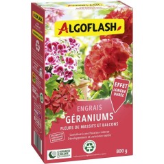 Engrais géraniums - ALGOFLASH - Géraniums, fleurs de massifs & balco