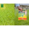 Gazon rustique - BHS - Boîte de 3 kg - Résistant aux conditions clim
