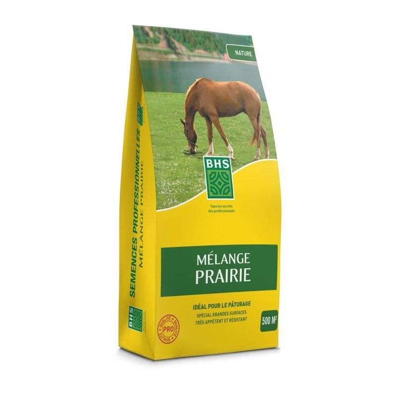 Gazon - BHS - Mélange Prairie 5kg | 500m² | Pour zones extensives et Gazon - BHS - Mélange Prairie 5kg | 500m² | Pour zones extensives et
