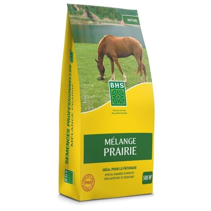 Gazon - BHS - Mélange Prairie 5kg | 500m² | Pour zones extensives et pâturage | Installation rapide, résistant, sans entreti