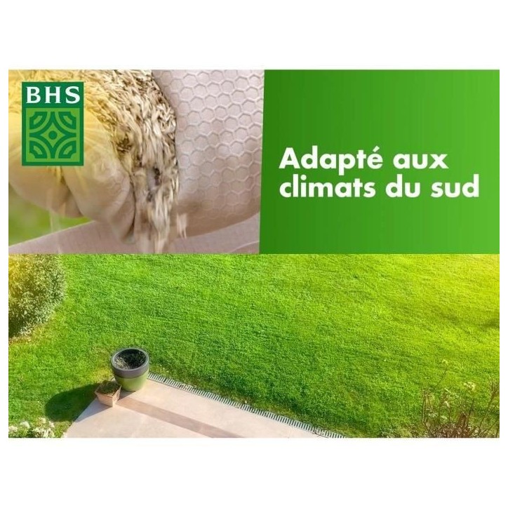 Gazon - BHS - Gazon Rustique Sud - 10kg - Résistant aux conditions seches grâce a la fétuque élevée. Rapide et homogene.