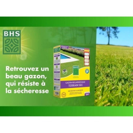 Gazon Regarnissage Terrain Sec - BHS - 1kg | 40 m² | Résistant et durable, avec excellente pérennité et tolérance aux piét