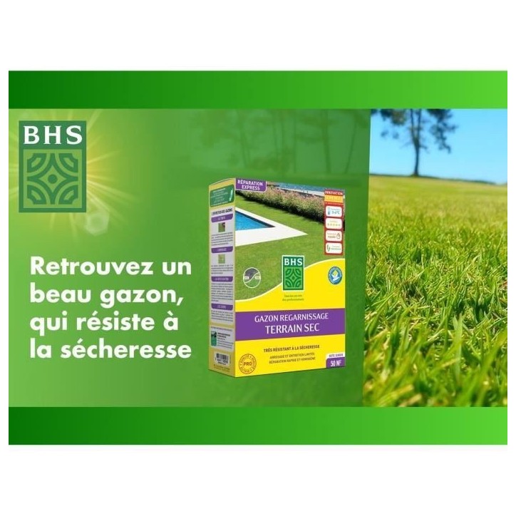 Gazon Regarnissage Terrain Sec - BHS - 1kg | 40 m² | Résistant et durable, avec excellente pérennité et tolérance aux piét Gazon Regarnissage Terrain Sec - BHS - 1kg | 40 m² | Résistant et durable, avec excellente pérennité et tolérance aux piét