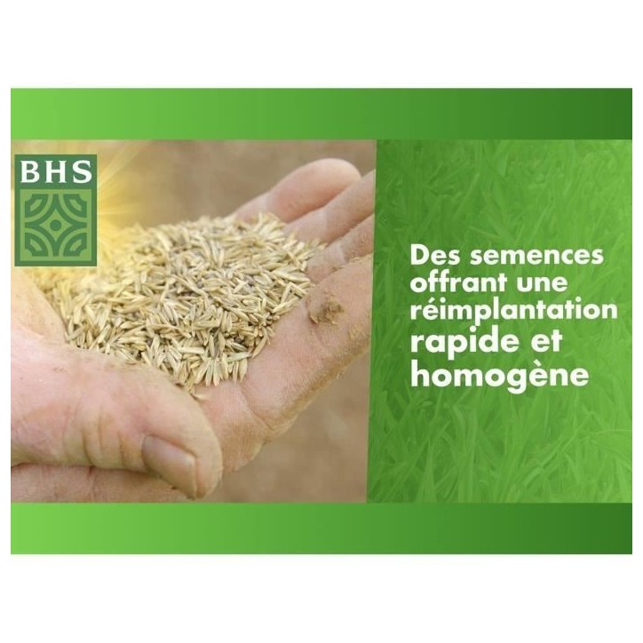 Gazon Regarnissage Terrain Sec - BHS - 1kg | 40 m² | Résistant et durable, avec excellente pérennité et tolérance aux piét Gazon Regarnissage Terrain Sec - BHS - 1kg | 40 m² | Résistant et durable, avec excellente pérennité et tolérance aux piét