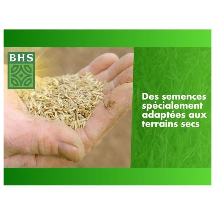 Gazon Regarnissage Terrain Sec - BHS - 3kg | 150 m² | Résistant et durable, avec excellente pérennité et tolérance aux pié