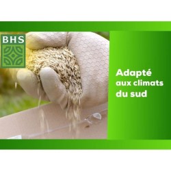 Kikuyu - BHS - 300g | 25 m² | Zones méditerranéennes | Résistant a