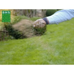 Gazon - BHS - Gazon Rustique 20kg, pour jardins traditionnels et tous
