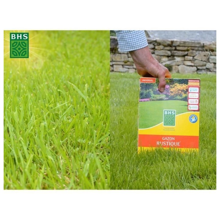 Gazon - BHS - Gazon Rustique 20kg, pour jardins traditionnels et tous types de sols. Dense, esthétique, rapide et durable.