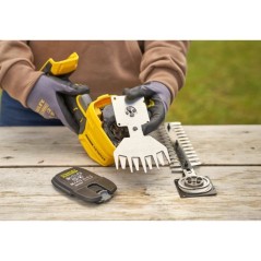 Taille-haie et cisaille a gazon sans fil + batterie 2Ah + chargeur - S