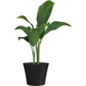 Pot de fleurs - GARDEN ID - Green Care Sense Noir-Anthracite - 50 x 41