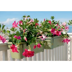 STEFANPLAST Balconniere ETHICA - 9 L - 50x18 x h17 cm - Graphit