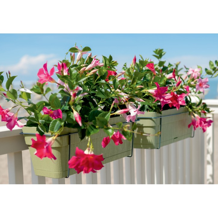 STEFANPLAST Balconniere ETHICA - 9 L - 50x18 x h17 cm - Graphit STEFANPLAST Balconniere ETHICA - 9 L - 50x18 x h17 cm - Graphit