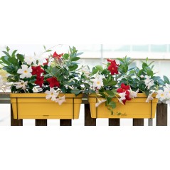 STEFANPLAST Balconniere ETHICA - 9 L - 50x18 x h17 cm - Moutarde
