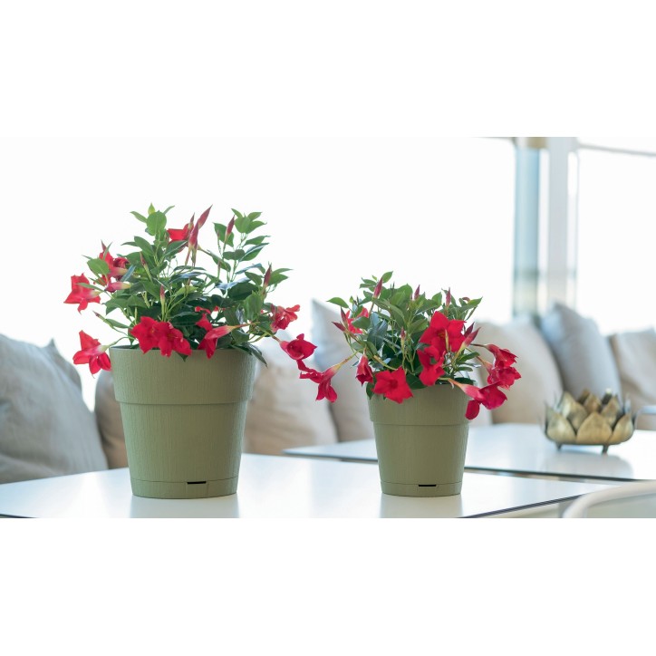 STEFANPLAST Pot de fleur ETHICA - 2 L - 40 x h39 cm - Avec réserve d'eau - Gris STEFANPLAST Pot de fleur ETHICA - 2 L - 40 x h39 cm - Avec réserve d'eau - Gris