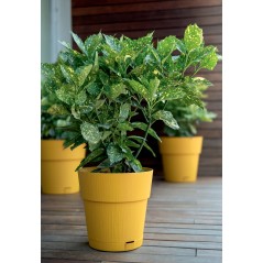 STEFANPLAST Pot de fleur ETHICA - 2 L - 40 x h39 cm - Avec réserve d'