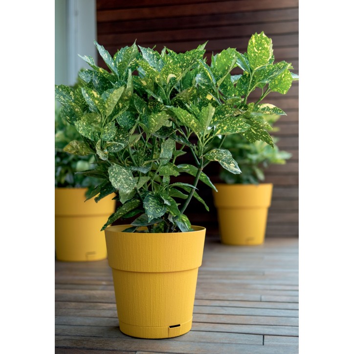 STEFANPLAST Pot de fleur ETHICA - 2 L - 40 x h39 cm - Avec réserve d'eau - Moutarde STEFANPLAST Pot de fleur ETHICA - 2 L - 40 x h39 cm - Avec réserve d'eau - Moutarde