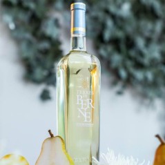 Château de Berne Terres de Berne Côtes de Provence - Vin blanc de Pr