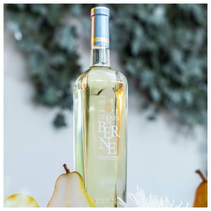 Château de Berne Terres de Berne Côtes de Provence - Vin blanc de Provence 24