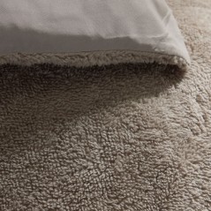 Parure de lit - TODAY - Teddy - 2 personnes - 220 x 240 cm - Beige uni