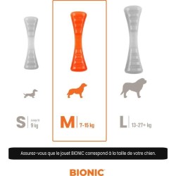 Jouet pour chien - BIONIC - Bâton Urban stick - Taille Medium 23 cm -