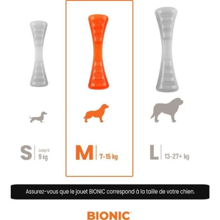 Jouet pour chien - BIONIC - Bâton Urban stick - Taille Medium 23 cm - En caoutchouc ultra résistant - sans plomb, BPA ni phtal