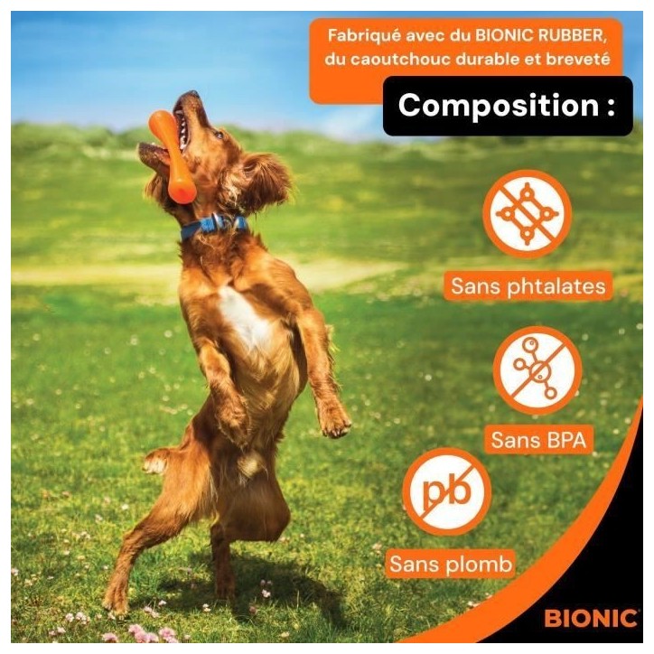 Jouet pour chien - BIONIC - Bâton Urban stick - Taille Medium 23 cm - En caoutchouc ultra résistant - sans plomb, BPA ni phtal Jouet pour chien - BIONIC - Bâton Urban stick - Taille Medium 23 cm - En caoutchouc ultra résistant - sans plomb, BPA ni phtal