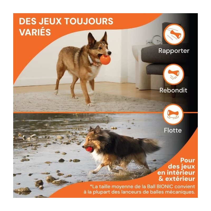 Jouet pour chien - BIONIC - Balle - Taille Medium 6,7 cm - Caoutchouc Jouet pour chien - BIONIC - Balle - Taille Medium 6,7 cm - Caoutchouc