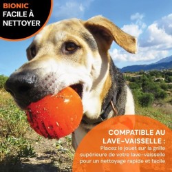 Jouet pour chien - BIONIC - Balle - Taille Medium 6,7 cm - Caoutchouc