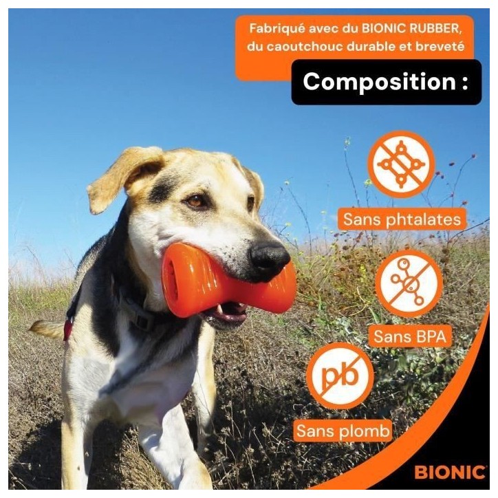 Jouet pour chien - BIONIC - Os - Taille Medium 12 cm - Caoutchouc ultra résistant - sans plomb, BPA ni phtalates Jouet pour chien - BIONIC - Os - Taille Medium 12 cm - Caoutchouc ultra résistant - sans plomb, BPA ni phtalates