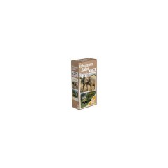 Puzzle - TOPI GAMES - Echappées Belles Animaux - 2x49 pieces - Des 6