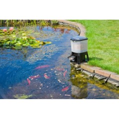 Distributeur automatique de nourriture pour poissons - UBBINK - Solair