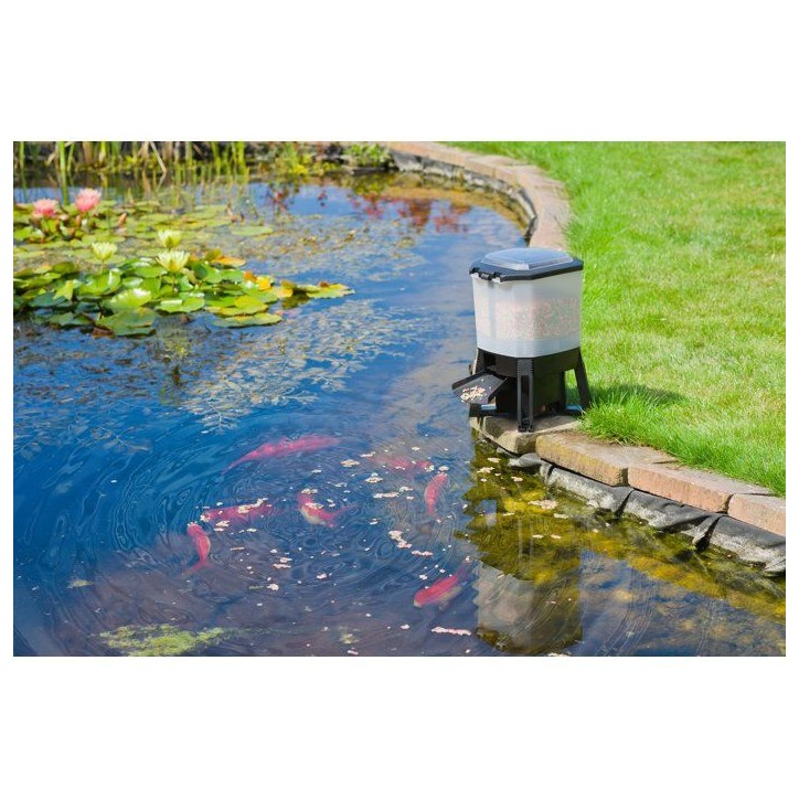 Distributeur automatique de nourriture pour poissons - UBBINK - Solaire - Réservoir 6 L - 1 a 6 nourrissages/jour - Portée 1 a Distributeur automatique de nourriture pour poissons - UBBINK - Solaire - Réservoir 6 L - 1 a 6 nourrissages/jour - Portée 1 a