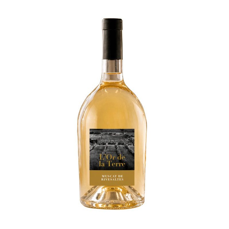 L'or de la Terre Muscat de Rivesaltes - Vin blanc de Languedoc