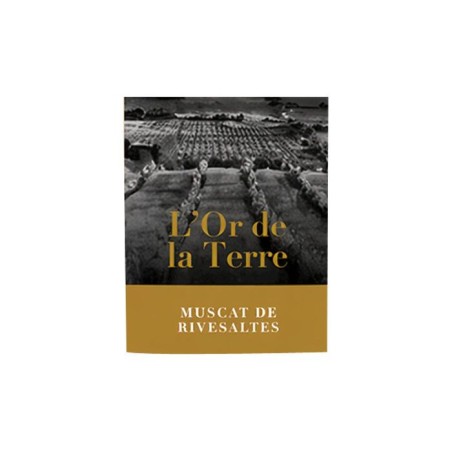 L'or de la Terre Muscat de Rivesaltes - Vin blanc de Languedoc