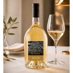 L'or de la Terre Muscat de Rivesaltes - Vin blanc de Languedoc