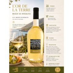 L'or de la Terre Muscat de Rivesaltes - Vin blanc de Languedoc