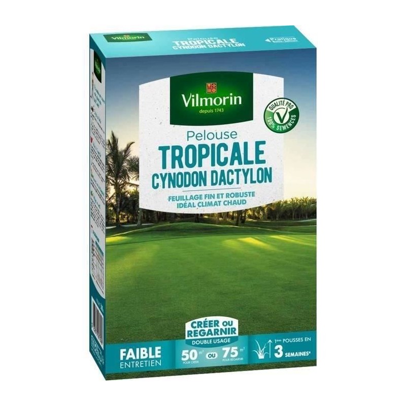 VILMORIN Semences de gazon bord de mer Les Tropicales Cynodon Dactylon