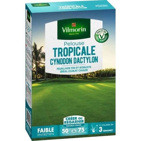 VILMORIN Semences de gazon bord de mer Les Tropicales Cynodon Dactylon