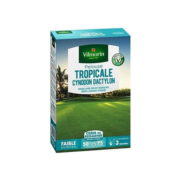 VILMORIN Semences de gazon bord de mer Les Tropicales Cynodon Dactylon - 500 g VILMORIN Semences de gazon bord de mer Les Tropicales Cynodon Dactylon - 500 g