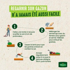 Gazon - Vilmorin - Gazon Ultra Résistant - Label Rouge - 1 kg