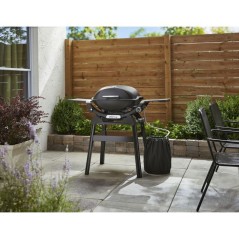 Barbecue a gaz - Weber - Q2200N avec stand - 4,11kW - 1 brûleur - Fon