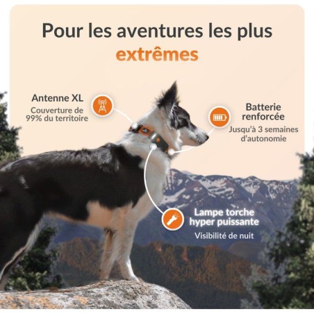 Traceur GPS pour chien sans collier - WEENECT - Chien XT - Antenne XL - Etanche - Fonctionne avec abonnement