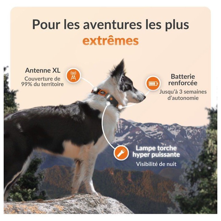 Traceur GPS pour chien sans collier - WEENECT - Chien XT - Antenne XL - Etanche - Fonctionne avec abonnement Traceur GPS pour chien sans collier - WEENECT - Chien XT - Antenne XL - Etanche - Fonctionne avec abonnement