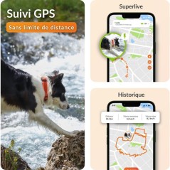 Traceur GPS pour chien sans collier - WEENECT - Chien XT - Antenne XL