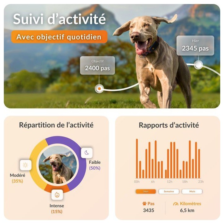 Traceur GPS pour chien sans collier - WEENECT - Chien XT - Antenne XL - Etanche - Fonctionne avec abonnement Traceur GPS pour chien sans collier - WEENECT - Chien XT - Antenne XL - Etanche - Fonctionne avec abonnement