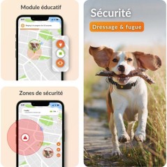 Traceur GPS pour chien sans collier - WEENECT - Chien XT - Antenne XL