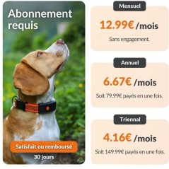 Traceur GPS pour chien sans collier - WEENECT - Chien XT - Antenne XL